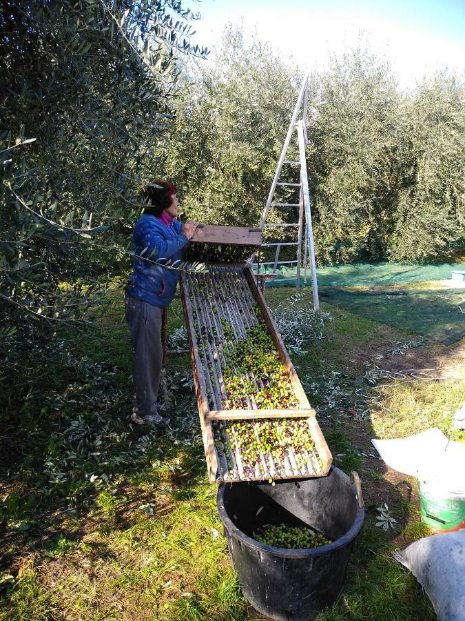 "Country House Il Brolo" Polpenazze del Garda Εξωτερικό φωτογραφία