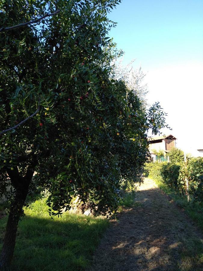 "Country House Il Brolo" Polpenazze del Garda Εξωτερικό φωτογραφία